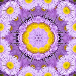 fantasias-300x300