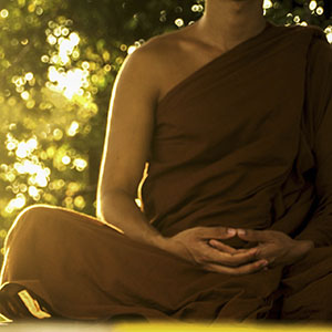 yogui