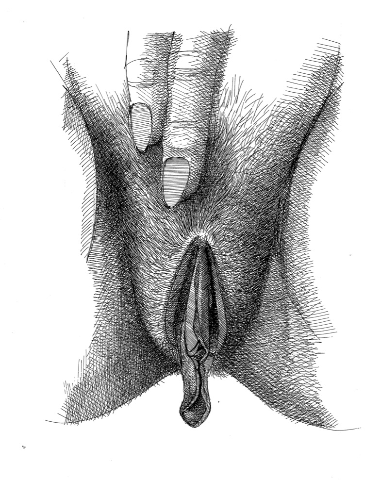 vulva_3